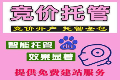 百度推广费用与广告创意结合的案例研究